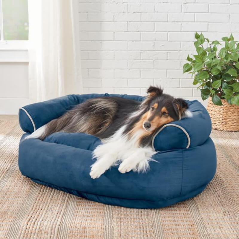 Sofa Dog Bed 2024
