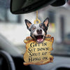 Heeler Get In Ornament GI021