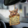 Cat Get In Ornament GI072