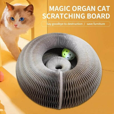 Tableau à gratter Magic Organ Cat - Livré avec une boule de jouet