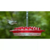 Mary's Hummingbird Feeder mit Barsch und eingebautem Ameisengraben