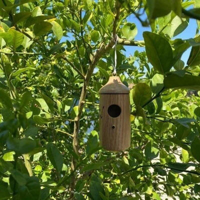 Casa de colibrí de madera - Regalo para los amantes de la naturaleza