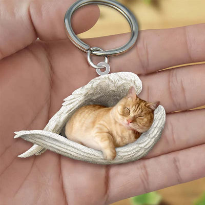 Sleeping Angel Acrylic Keychain Munchkin Cat SA163