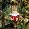 Cat In Snow Pocket Christmas Ornament SP161
