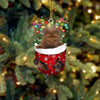 Cat In Snow Pocket Christmas Ornament SP164