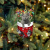 Cat In Snow Pocket Christmas Ornament SP191