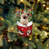 Siamese Cat In Snow Pocket Christmas Ornament SP209