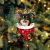 Chihuahua Long Haired In Snow Pocket Christmas Ornament SP229