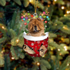 Chow Chow In Snow Pocket Christmas Ornament SP231