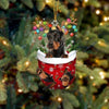 Dobermann In Snow Pocket Christmas Ornament SP237