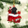 Poodle In Gift Bag Christmas Ornament GB004