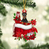 Doberman In Gift Bag Christmas Ornament GB077