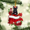 Scottish Terrier In Gift Bag Christmas Ornament GB111