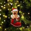 Yorkshire Terrier Gold In Santa Boot Christmas Hanging Ornament SB199