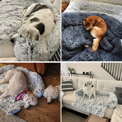Nouveau canapé apaisant confortable pour chien/chat - LIVRAISON GRATUITE