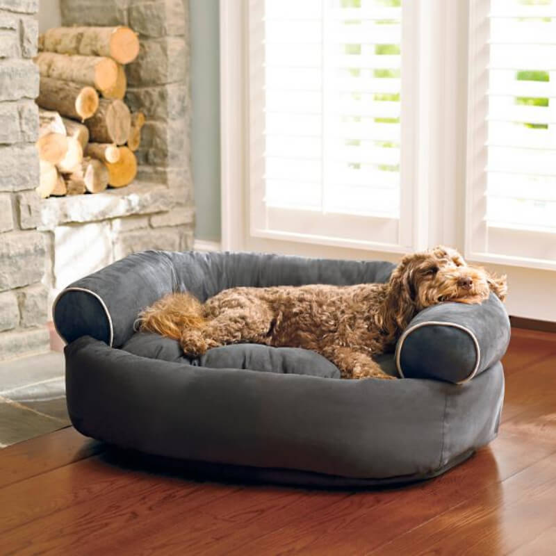Canapé lit pour chien 2022